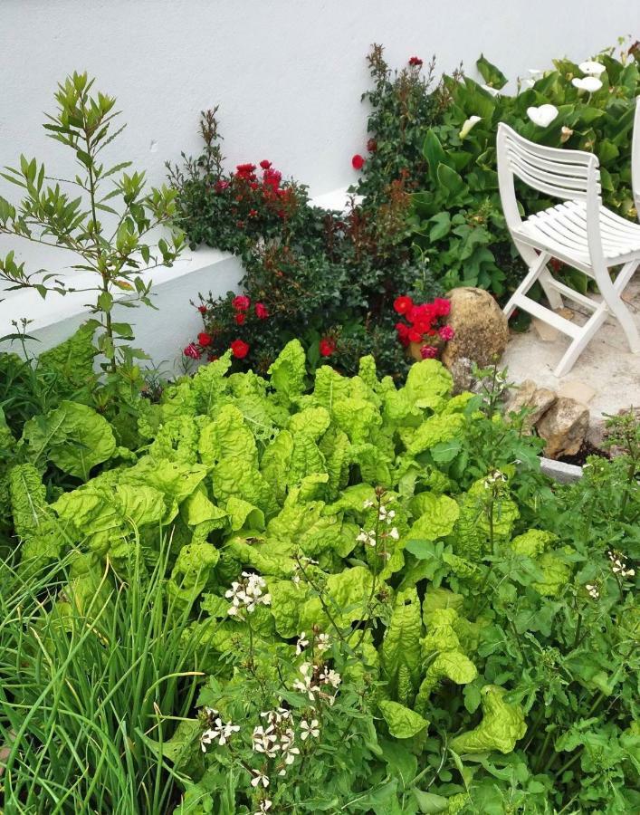 Villa Da Melis Buarcos Dış mekan fotoğraf