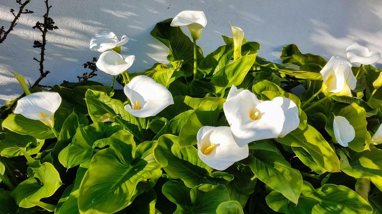 Villa Da Melis Buarcos Dış mekan fotoğraf